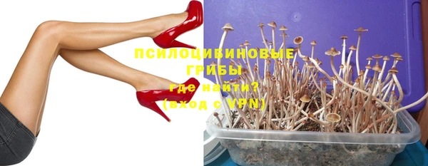 молекула духа Михайлов