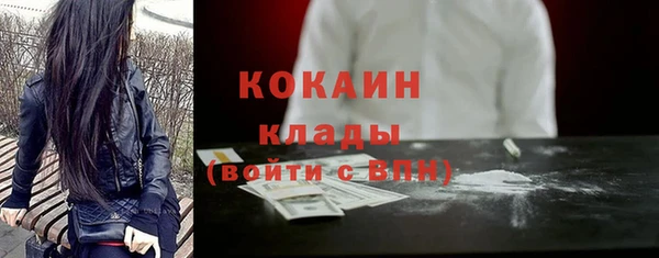молекула духа Михайлов