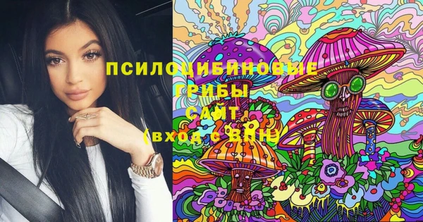молекула духа Михайлов