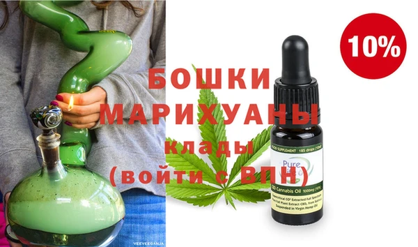 молекула духа Михайлов